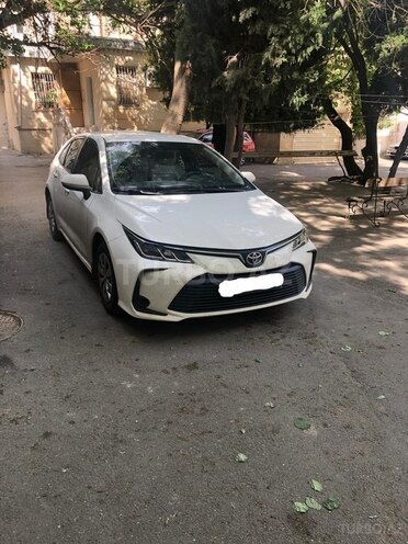 Toyota Corolla 2019, 0 km - 1.6 л - Bakı