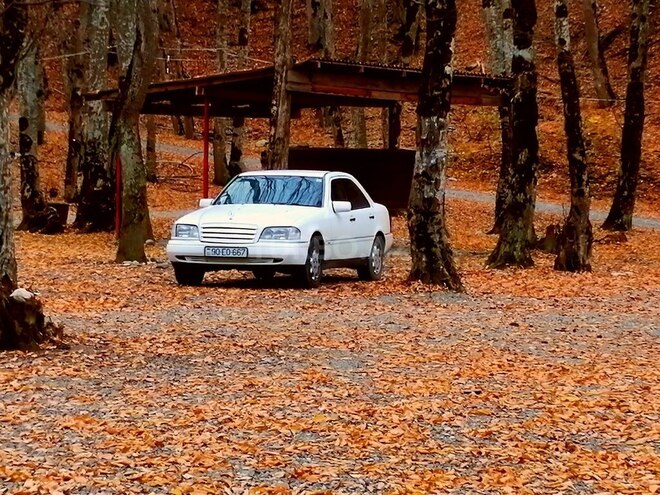 Mercedes C 180 1995, 512,000 km - 1.8 л - Quba