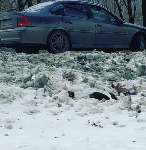 Opel Vectra 2000, 362,000 km - 1.6 l - Bakı