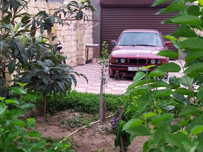 BMW 523 1998, 354,672 km - 2.5 л - Bakı
