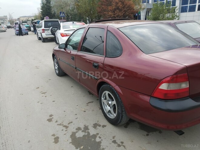 Opel Vectra 1995, 254,885 km - 1.6 l - Sumqayıt