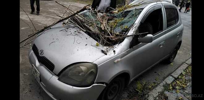 Toyota Vitz 1999, 240,150 km - 1.0 l - Bakı