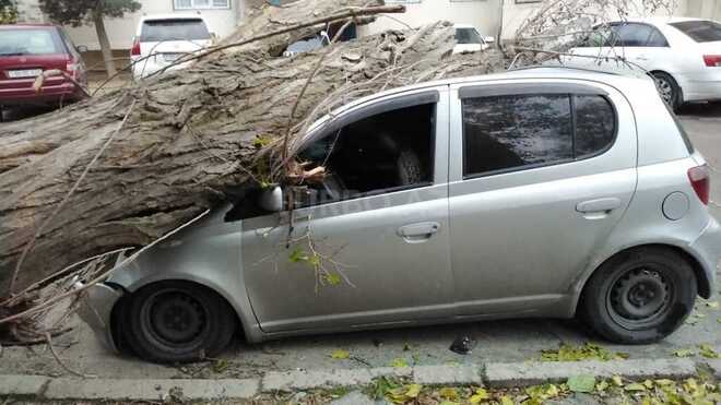 Toyota Vitz 1999, 2,431,301 km - 1.0 l - Bakı