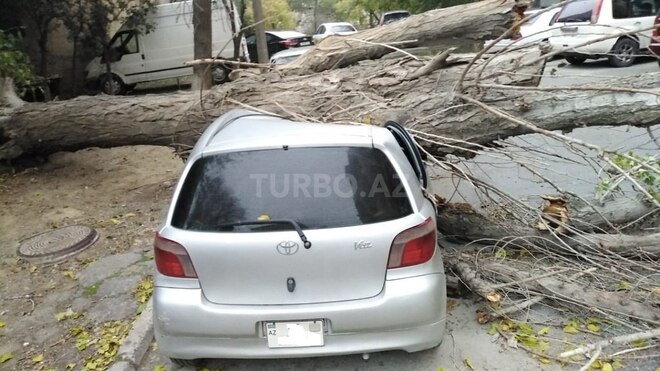Toyota Vitz 1999, 2,431,301 km - 1.0 l - Bakı