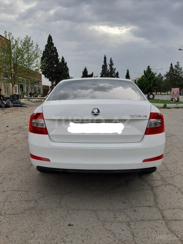 Skoda Octavia 2013, 163,453 km - 1.4 l - Gəncə