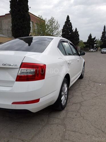 Skoda Octavia 2013, 163,453 km - 1.4 l - Gəncə