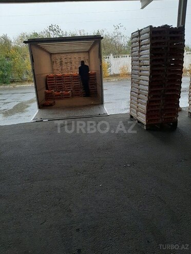 Mercedes Atego 1323 1998, 450,000 km - 6.3 л - Bakı
