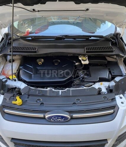 Ford Escape 2014, 169,000 km - 1.6 l - Cəlilabad