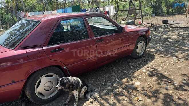Mercedes 190 1992, 250,000 km - 1.8 l - Ağstafa