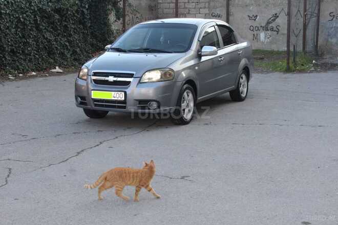 Chevrolet Aveo 2006, 181,000 km - 1.4 л - Bakı