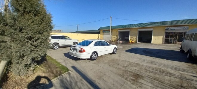 Mercedes E 200 2002, 231,639 km - 2.0 l - Şirvan