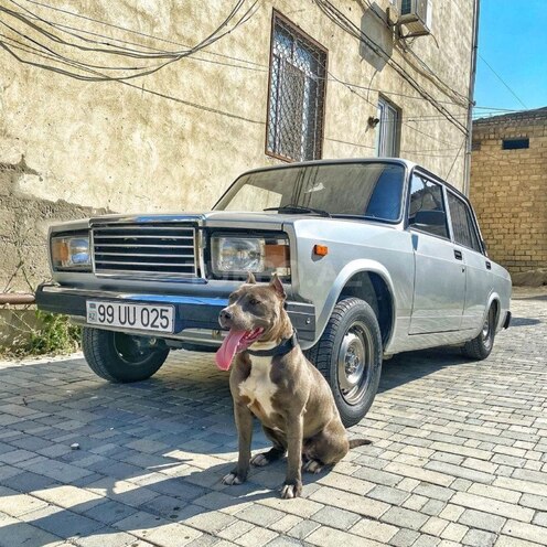 LADA (VAZ) 2107 2010, 72,500 km - 1.6 л - Bakı