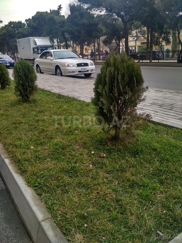 Hyundai Sonata 2004, 240,680 km - 2.0 l - Bakı
