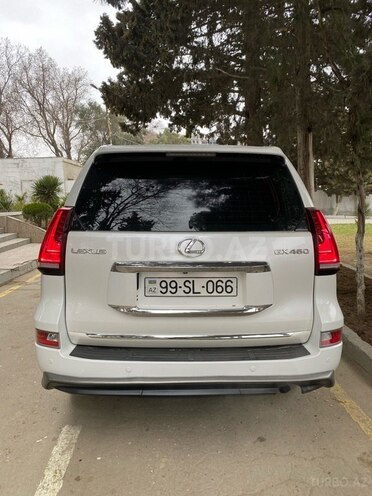 Lexus GX 460 2010, 253,000 km - 4.6 l - Bakı