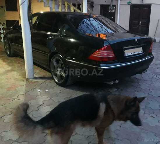 Mercedes S 350 2004, 364,000 km - 3.7 l - Şamaxı