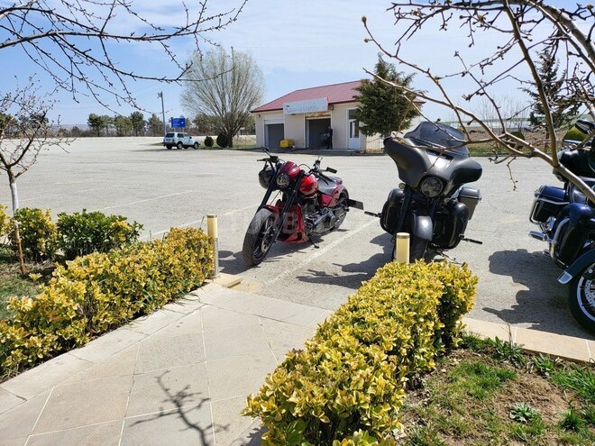 Harley-Davidson  2019, 12,000 km - 1.8 l - Bakı