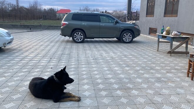 Toyota Highlander 2009, 130,000 km - 3.3 л - Bakı