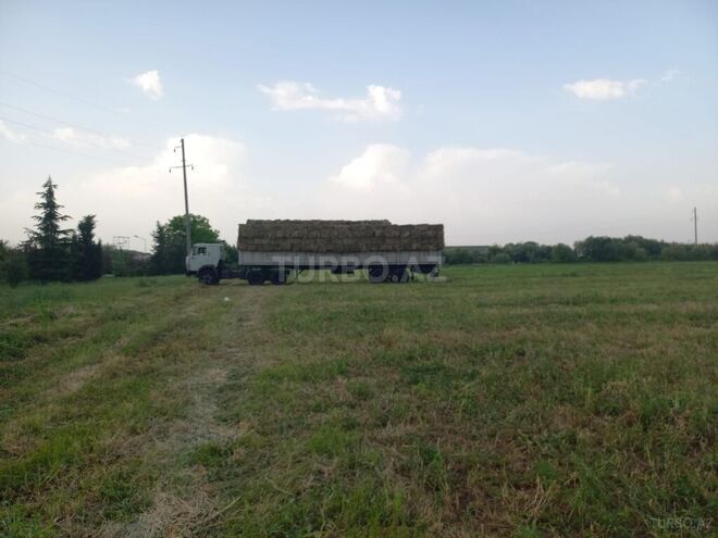 KamAz 5410 1992, 555,000 km - 11.0 l - Ağcabədi