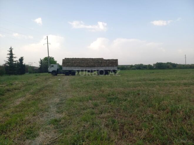 KamAz 5410 1992, 555,000 km - 11.0 l - Ağcabədi