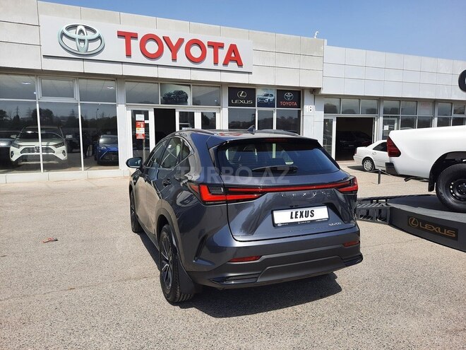 Lexus NX 200 2022, 0 km - 2.0 l - Bakı