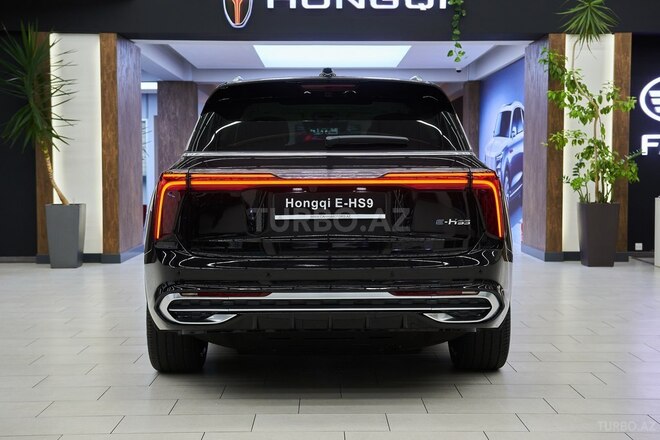 Hongqi E-HS9