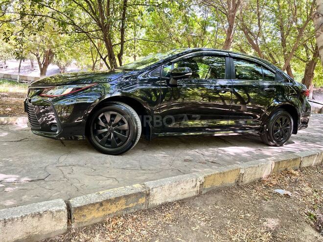 Toyota Corolla 2019, 37,000 km - 1.6 l - Naxçıvan