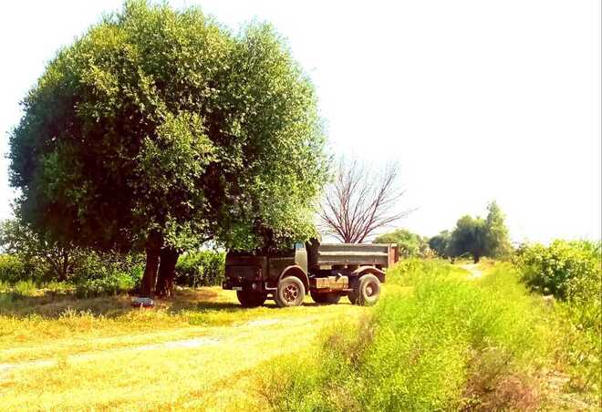 MAZ 5549 1979, 100,000 km - 11.0 l - Bakı
