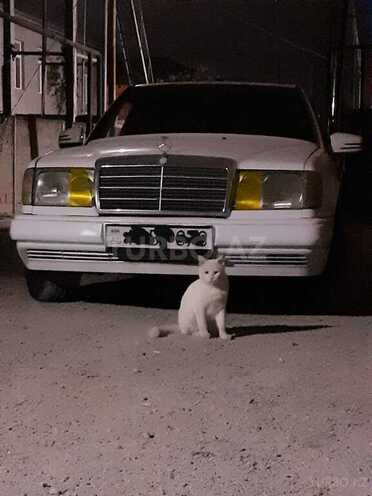 Mercedes E 250 1988, 625,890 km - 2.5 l - Masallı