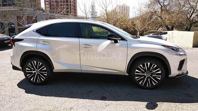 Lexus NX 300 2019, 14,000 km - 2.0 l - Bakı