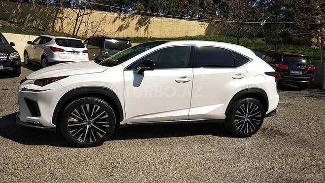 Lexus NX 300 2019, 14,000 km - 2.0 l - Bakı