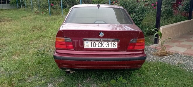 BMW 316 1994, 250,000 km - 1.6 л - Masallı