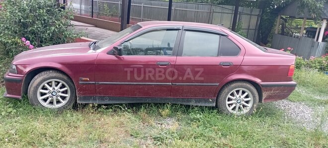 BMW 316 1994, 250,000 km - 1.6 л - Masallı