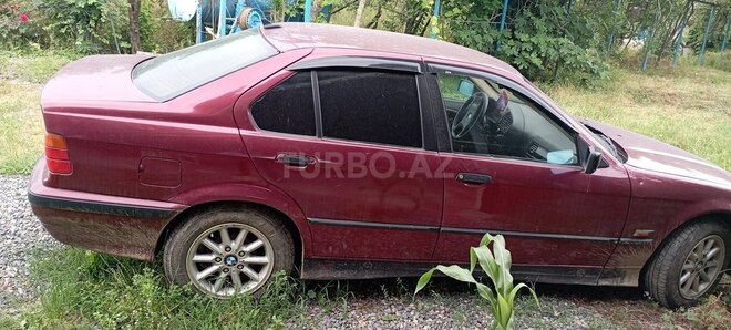 BMW 316 1994, 250,000 km - 1.6 л - Masallı