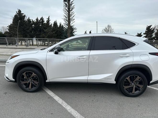 Lexus NX 300h 2021, 8,000 km - 2.5 l - Bakı