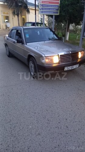 Mercedes 190 1989, 301,658 km - 2.0 л - Salyan