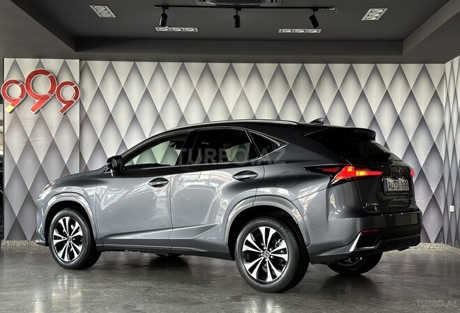 Lexus NX 300h-6
