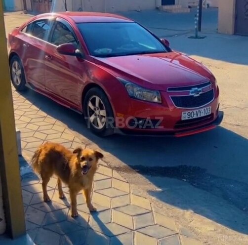 Chevrolet Cruze 2014, 74,100 km - 1.4 л - Bakı