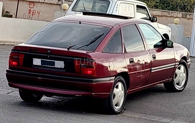 Opel Vectra 1995, 245,000 km - 2.0 l - Bərdə