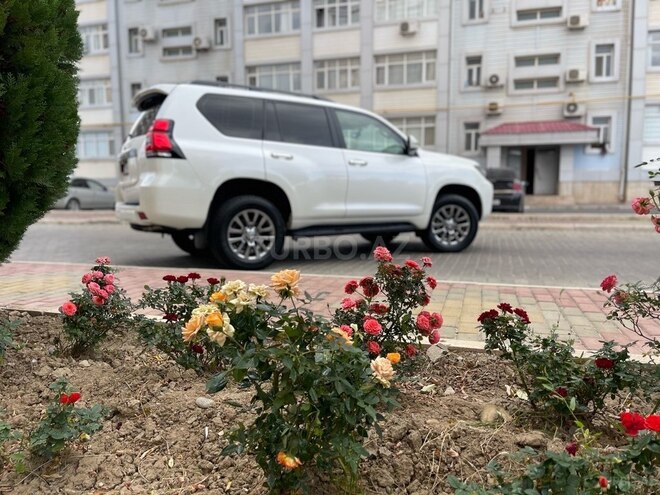 Toyota Prado 2019, 95,000 km - 2.7 l - Naxçıvan