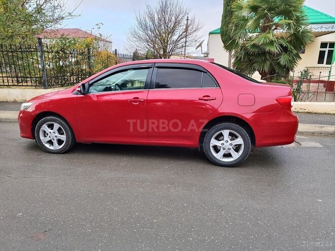 Toyota Corolla 2010, 183,000 km - 1.6 l - Naftalan