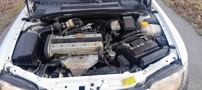 Opel Vectra 1997, 302,000 km - 1.8 l - Zaqatala