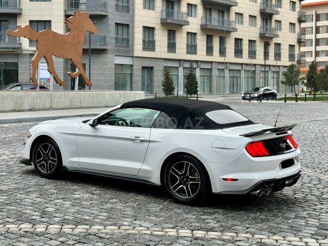 Ford Mustang 2019, 109,000 km - 2.3 л - Bakı