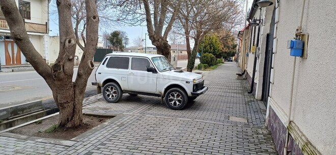 LADA (VAZ) Niva 2003, 182,000 km - 1.7 l - Şəmkir