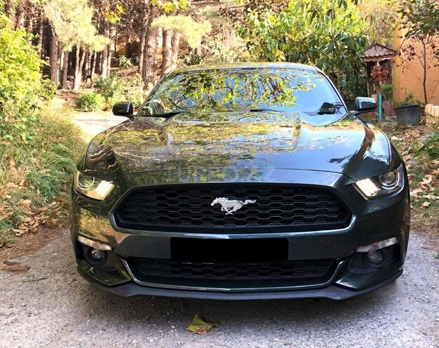 Ford Mustang 2016, 132,000 km - 2.3 l - Bakı
