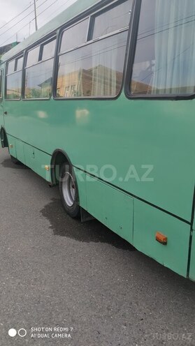 Isuzu Bogdan 2008, 300,000 km - 4.6 l - Gəncə