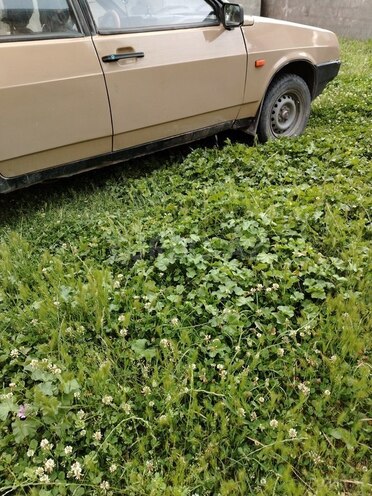 LADA (VAZ) 2109 1988, 118,035 km - 1.5 л - Qəbələ