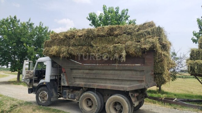 KamAz 55111