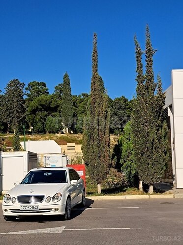 BMW 320 2002, 175,000 km - 2.2 л - Bakı