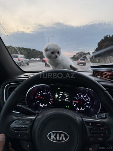Kia Optima 2015, 178,816 km - 2.0 л - Sumqayıt