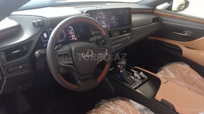 Lexus ES 300h-13